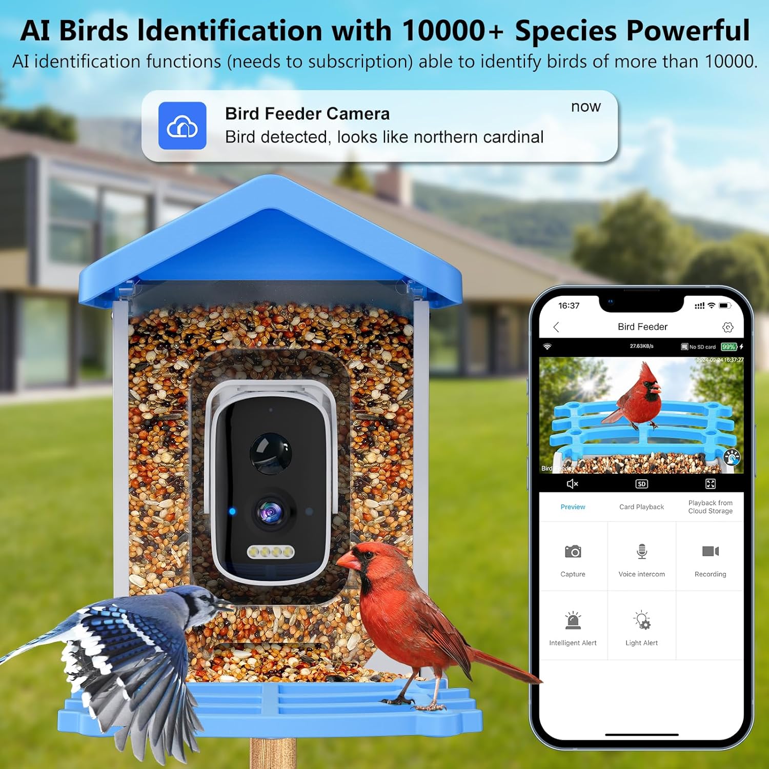 Smart Garden Ai - Smart Bird Feeder with Camera AI