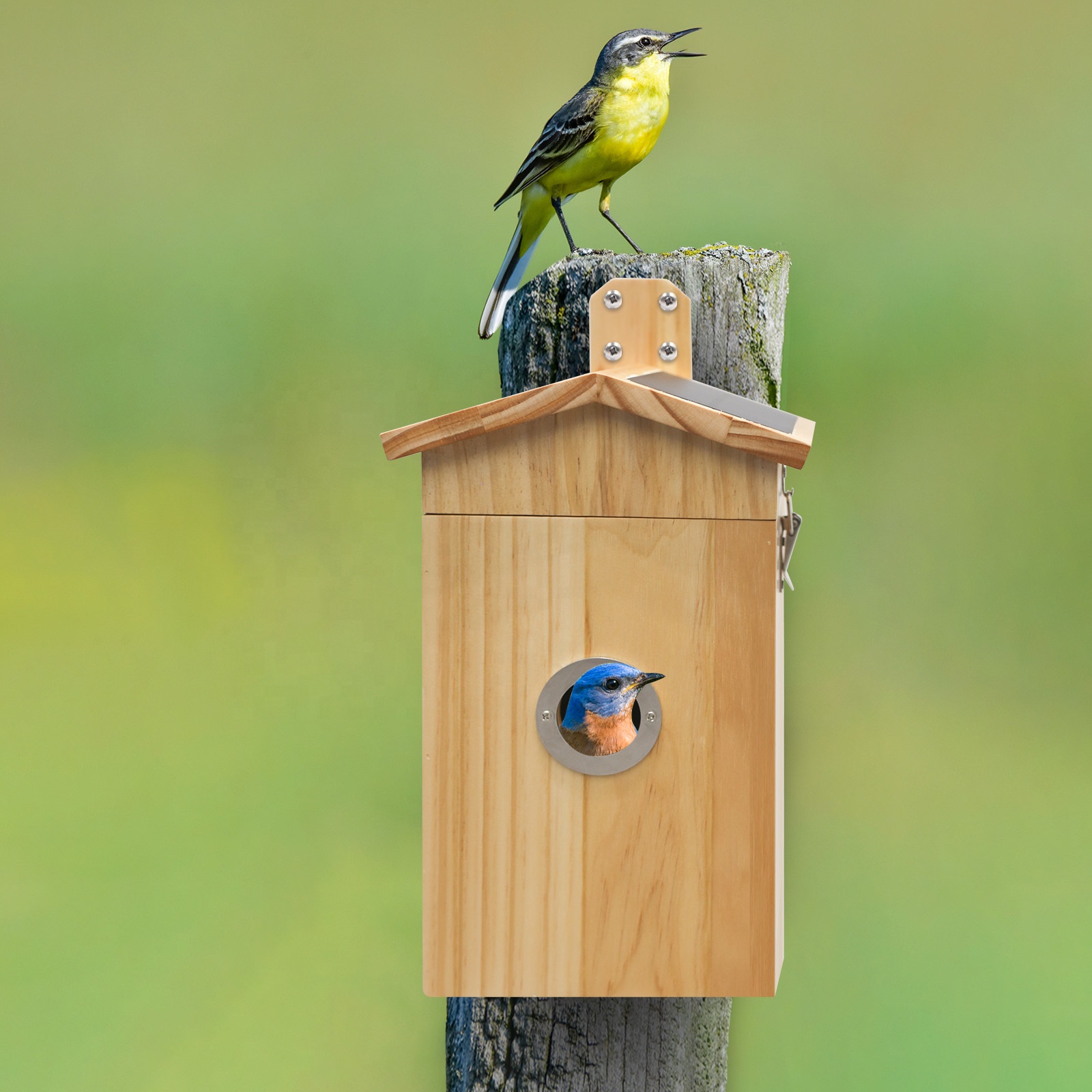 Smart Garden Ai - Nanxin Hot Selling Camera Birds House