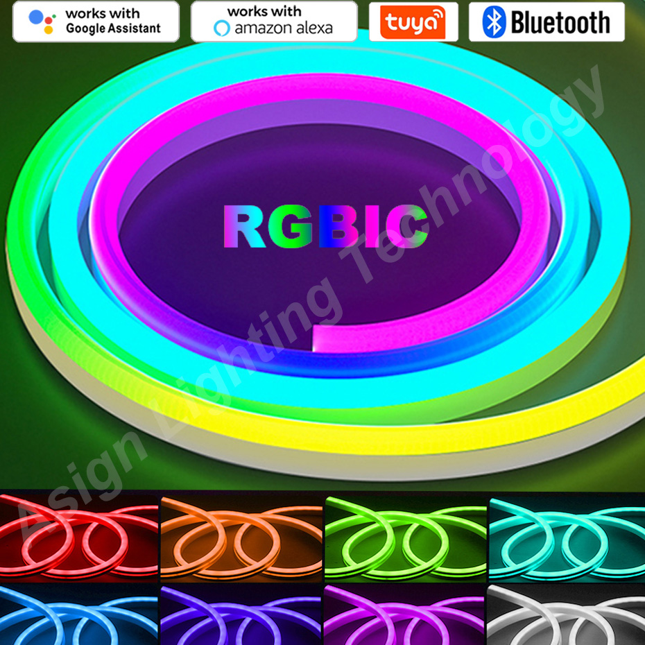 Smart Led Garden - RGBIC LED Neon Strip 12V 96LEDs/M