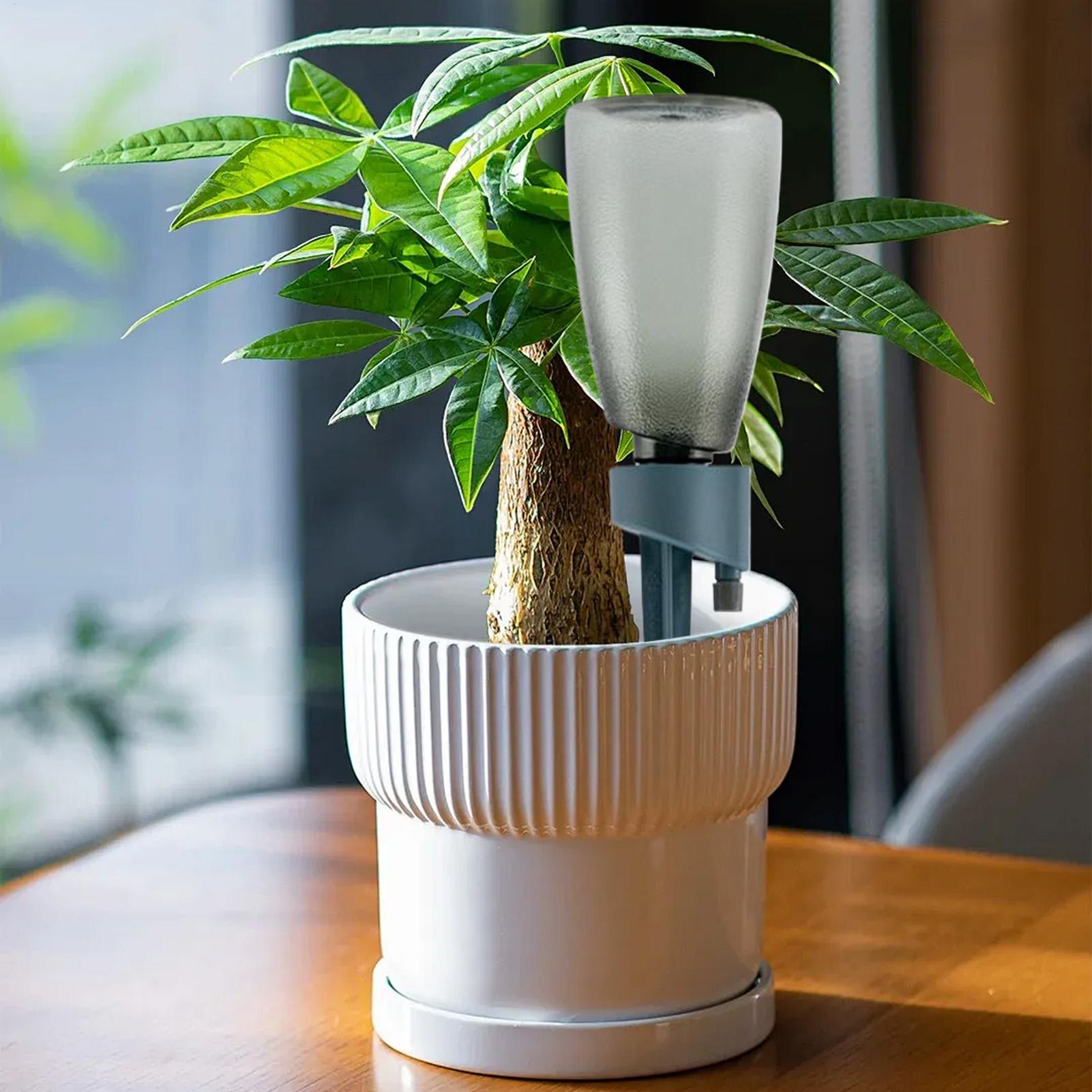 6pcs Automatic Waterer Househo - đánh giá và giá Smart Garden Sprinkler