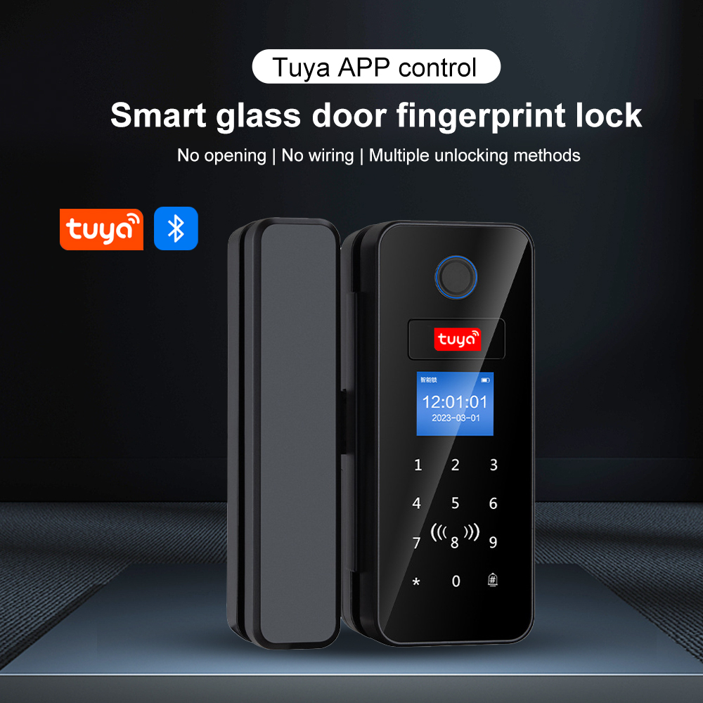 Double Hook Smart Glass Door L - đánh giá và giá Smart Garden Gate Lock
