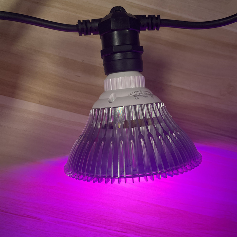 10M Cable LED String Commercia - đánh giá và giá Smart Garden Lamp