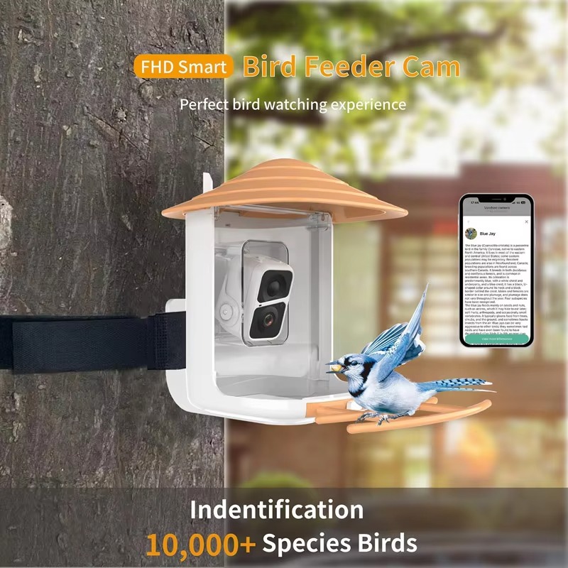 2L IP66 AI Smart Bird Feeder w - đánh giá và giá Smart Garden Ai