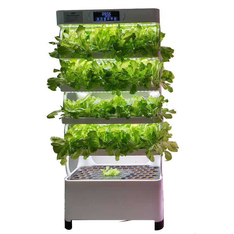 Indoor Smart Low Cost Hydropon - đánh giá và giá Smart Garden System
