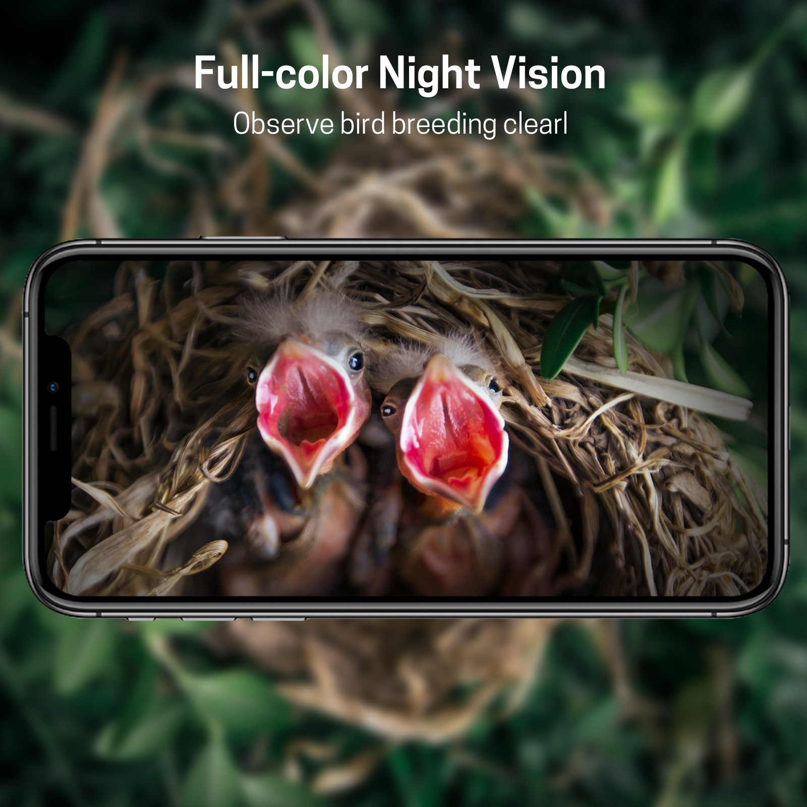 Nanxin Hot Selling Camera Bird - đánh giá và giá Smart Garden Ai