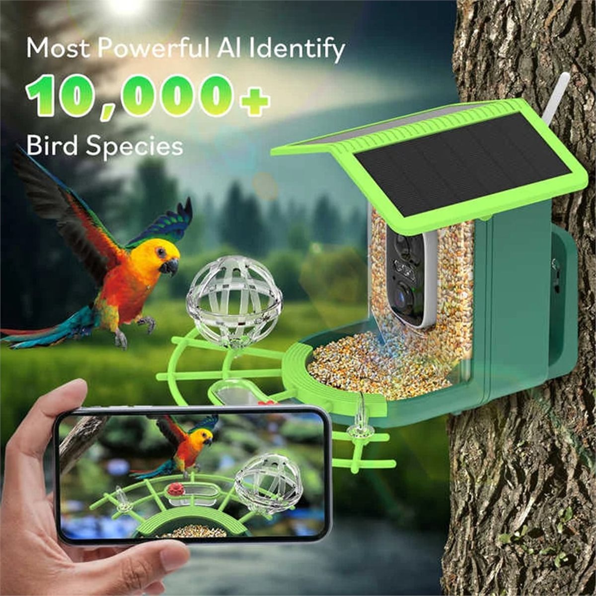ABPP Smart Bird Feeder Camera  - đánh giá và giá Smart Garden Ai