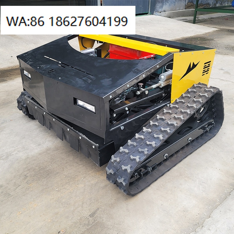 800mm Width Automatic Lawn Mow - đánh giá và giá Smart Garden Ai