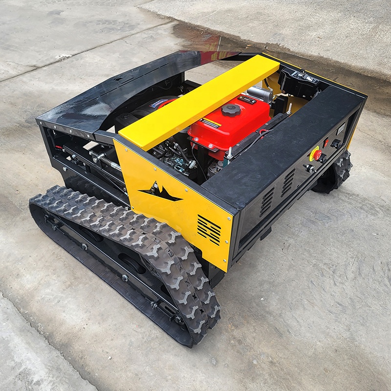 800mm Width Automatic Lawn Mow - đánh giá và giá Smart Garden Ai
