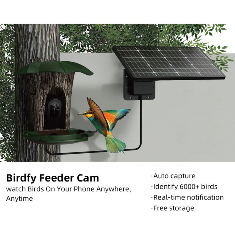 Solar AI Smart Bird Feeder Bir - đánh giá và giá Smart Garden Ai