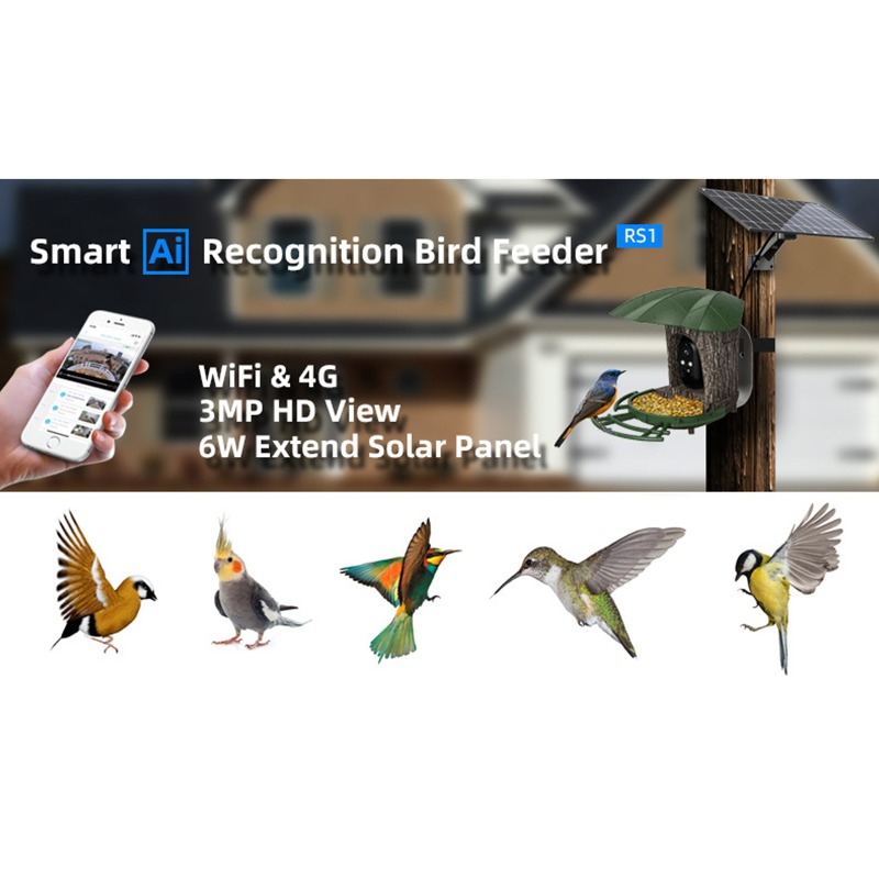 Solar AI Smart Bird Feeder Bir - đánh giá và giá Smart Garden Ai
